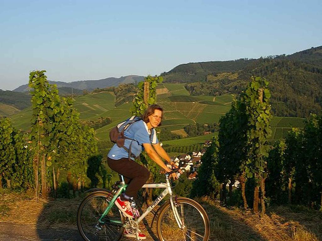 Gasthaus Hohberg Durbach Luaran gambar