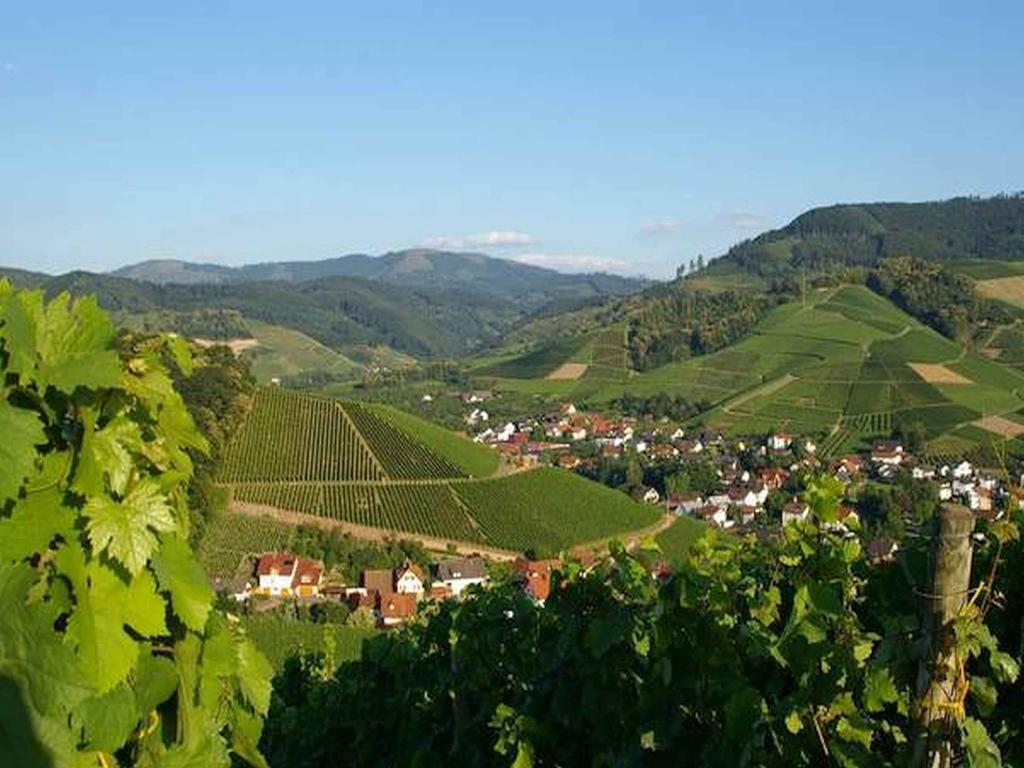 Gasthaus Hohberg Durbach Luaran gambar